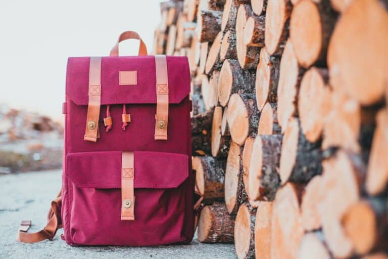 lightweight travel day bag