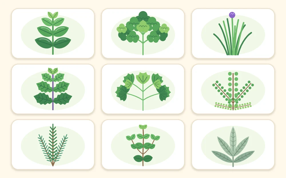 Nine tiles, each with a sprig of a different herb showing leaf shapes from broad oval to needle-like