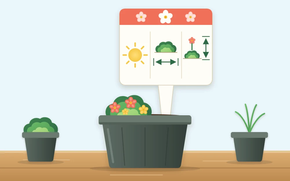A plant tag standing in a small nursery pot with three icons: a sun, a horizontal double arrow and a vertical double arrow