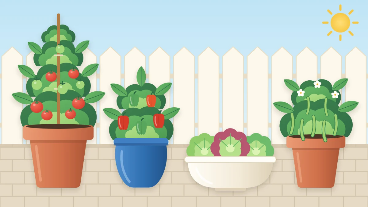 Patio containers with a staked tomato plant, a pepper plant, a wide bowl of lettuce and a pot of bush beans