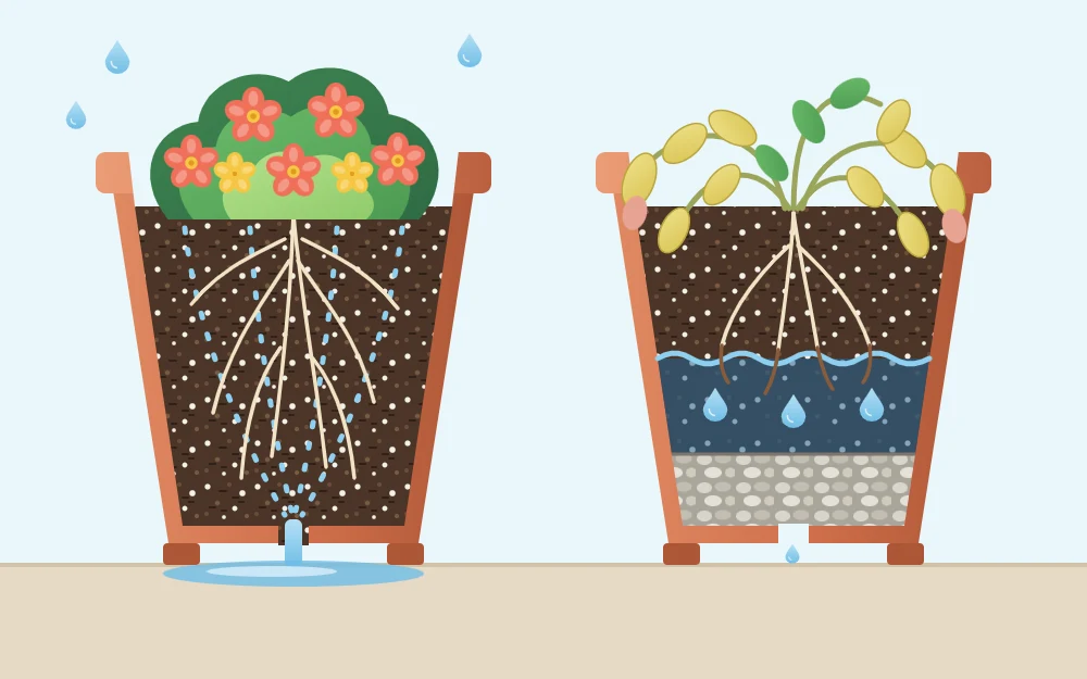 Cutaway of two pots, one filled with potting mix and draining freely, one with a gravel layer and a waterlogged band of mix above it