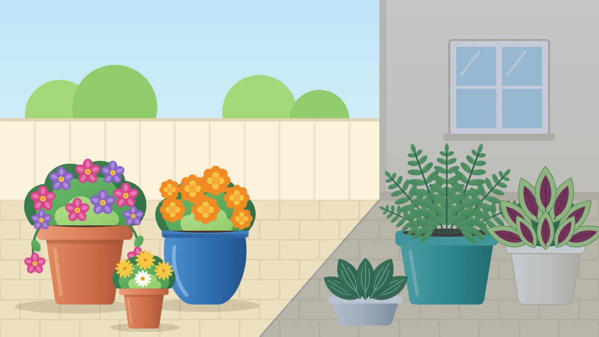 A patio divided diagonally into a sunny half with flowering pots and a half shaded by a house wall with leafy foliage pots
