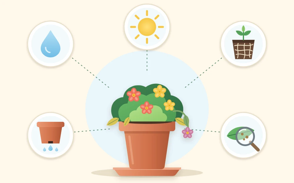 A potted plant surrounded by five icons: a water drop, a pot with a hole, a sun, a root ball and a magnifying glass over a leaf
