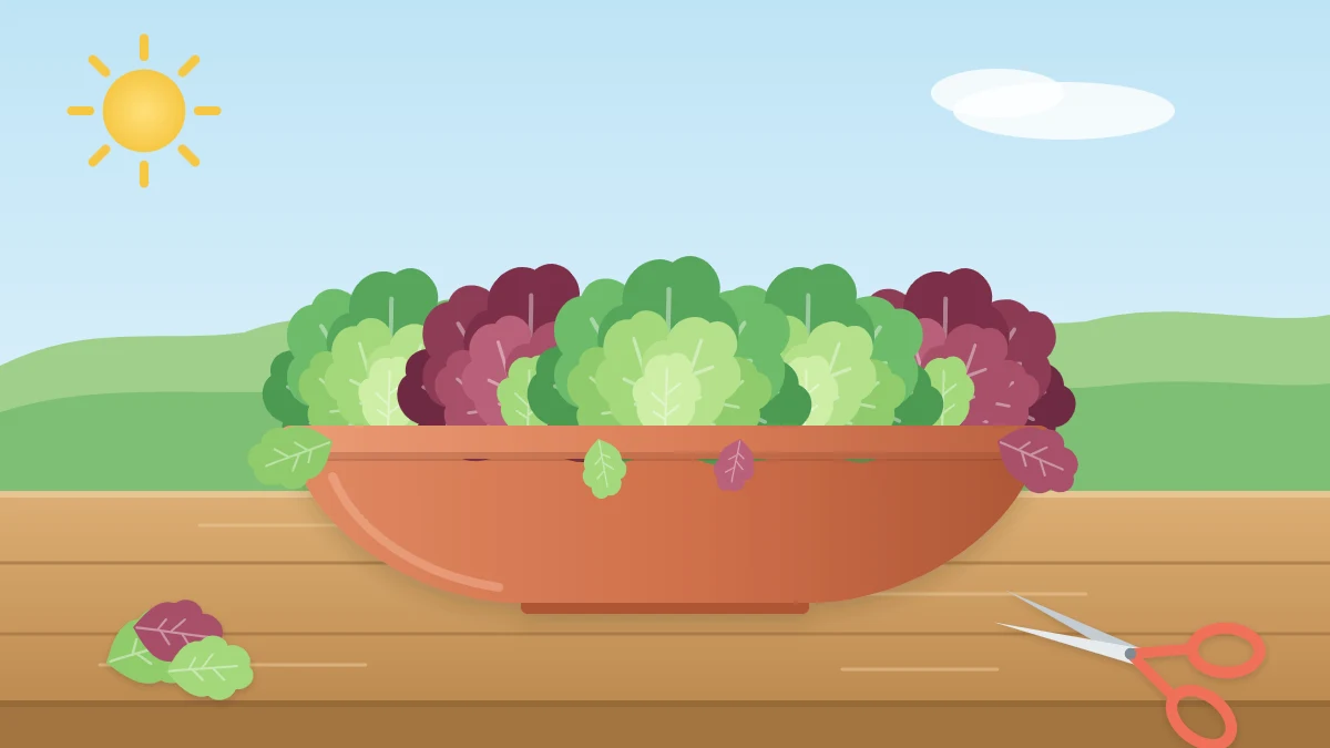 A wide shallow terracotta bowl of green and red loose-leaf lettuces on a patio table beside small scissors