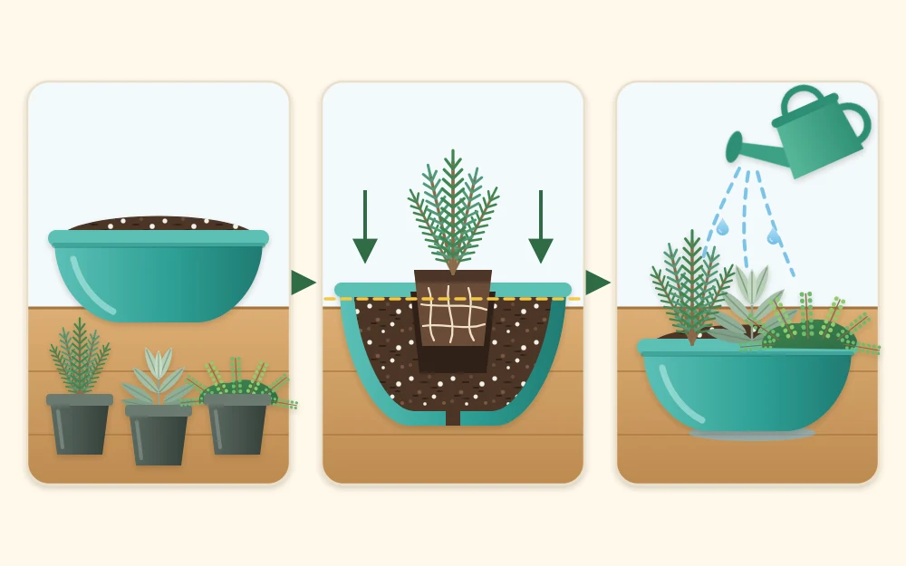 Three steps: herbs in nursery pots beside an empty bowl planter, a plant set into the mix, and the finished planter watered