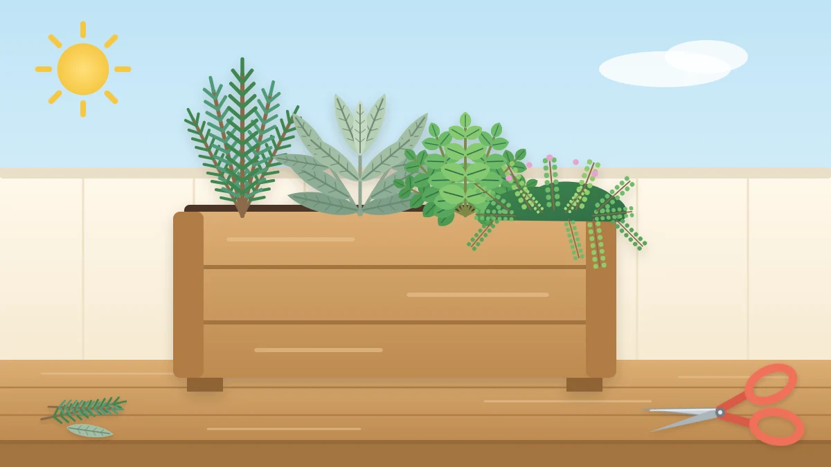 A long wooden trough on a patio table planted with rosemary, sage, thyme and oregano beside herb scissors