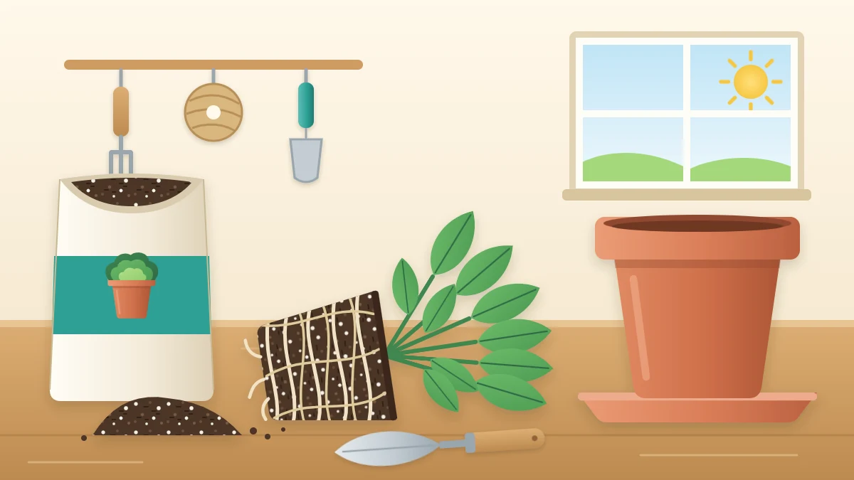 A leafy plant lying on its side out of its pot with a dense root ball, beside a larger empty pot, a bag of mix and a trowel