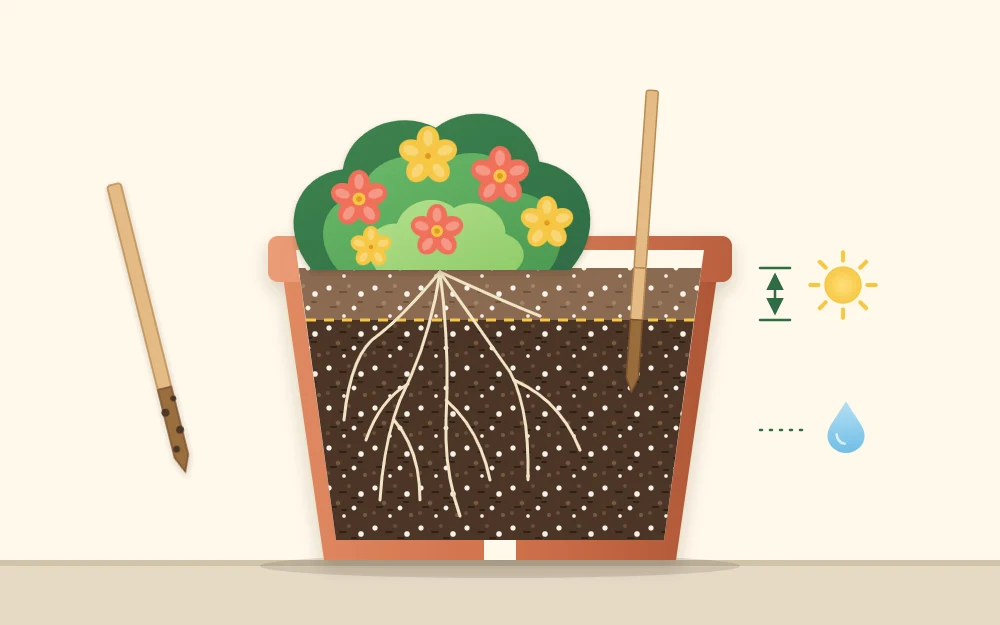 Cutaway of a planted pot with pale dry mix at the top, darker moist mix below and a thin wooden stick pushed in