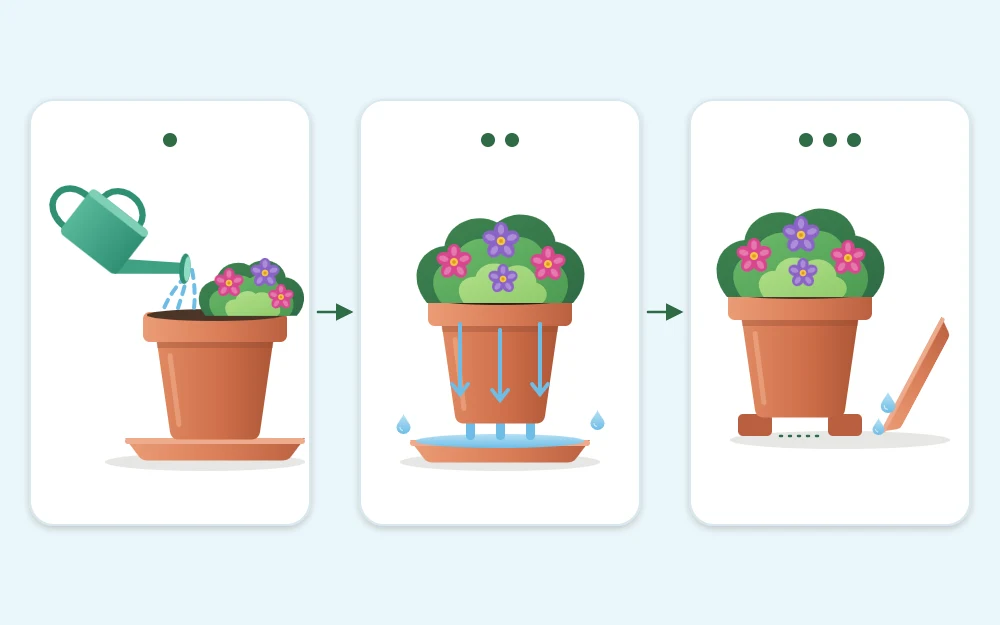 Three steps joined by arrows: water poured slowly at the surface, water running from the base, pot raised on feet
