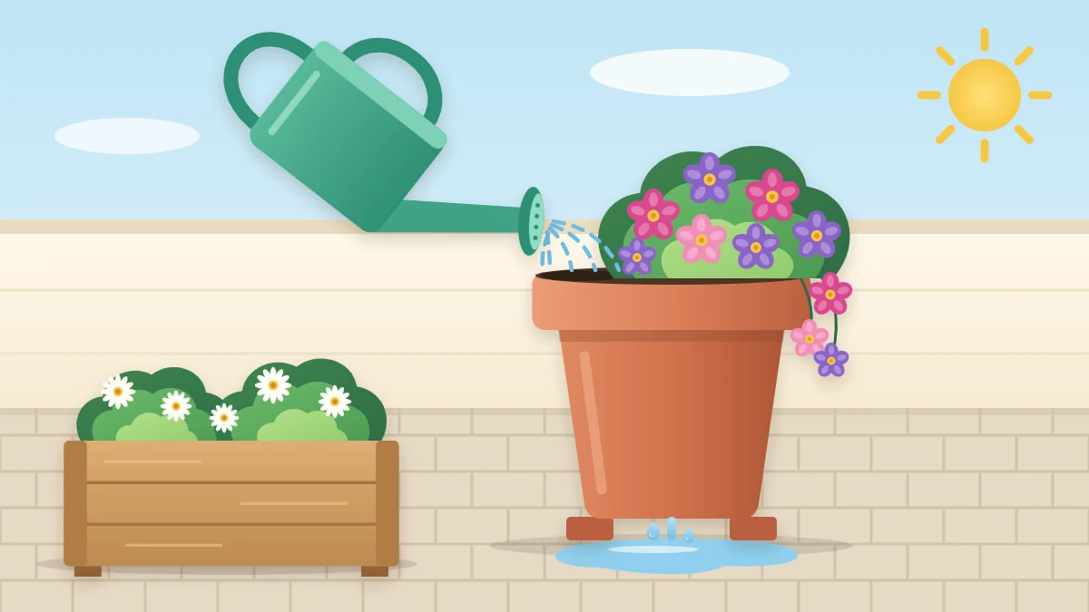 A green watering can showering the potting mix of a large terracotta pot of pink and purple flowers, with water dripping from the base