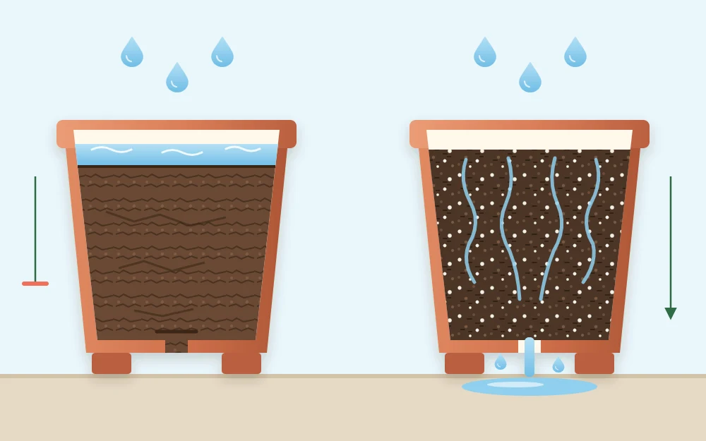 Two cutaway pots: one packed with dense garden soil and water pooled on top, one with loose potting mix and water draining from the base