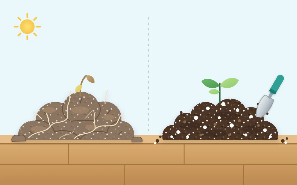 Two heaps compared: pale, dense, lumpy old mix with dead roots beside dark, fluffy fresh mix flecked with white perlite