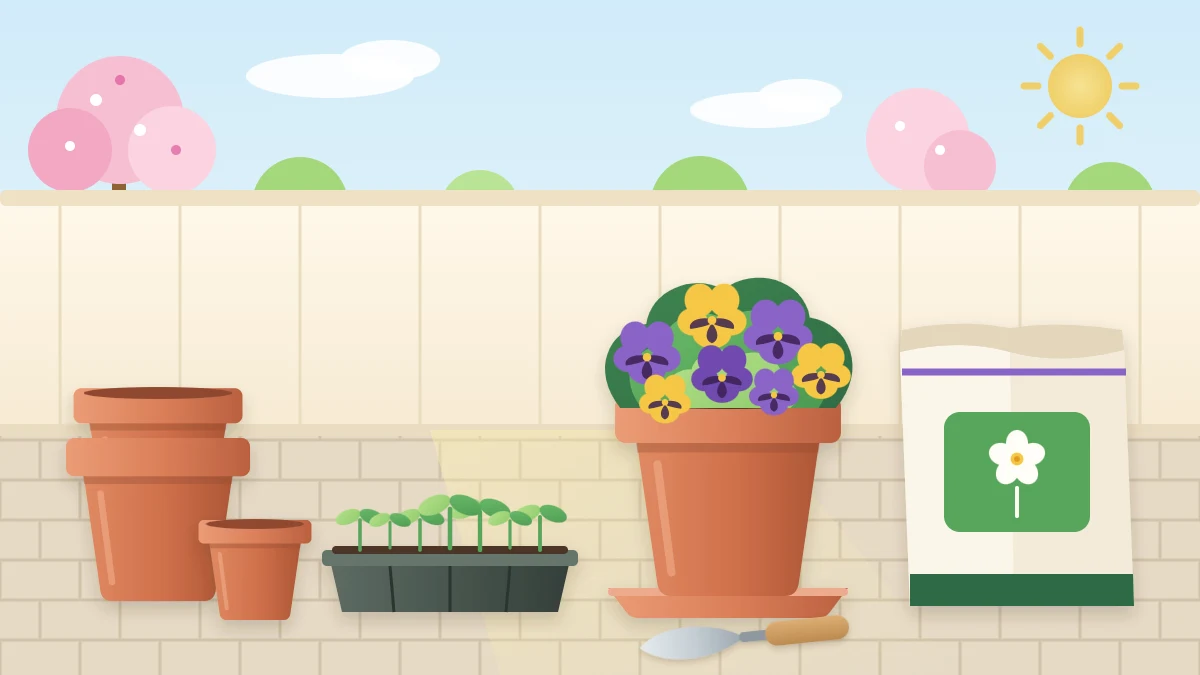 A spring potting scene on a patio with clean empty terracotta pots, a tray of young seedlings, a planted pot of purple and yellow pansies and a bag of potting mix