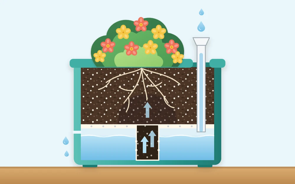Cutaway of a self-watering planter with potting mix above, a water reservoir below, a wicking column between them and a fill tube at the side